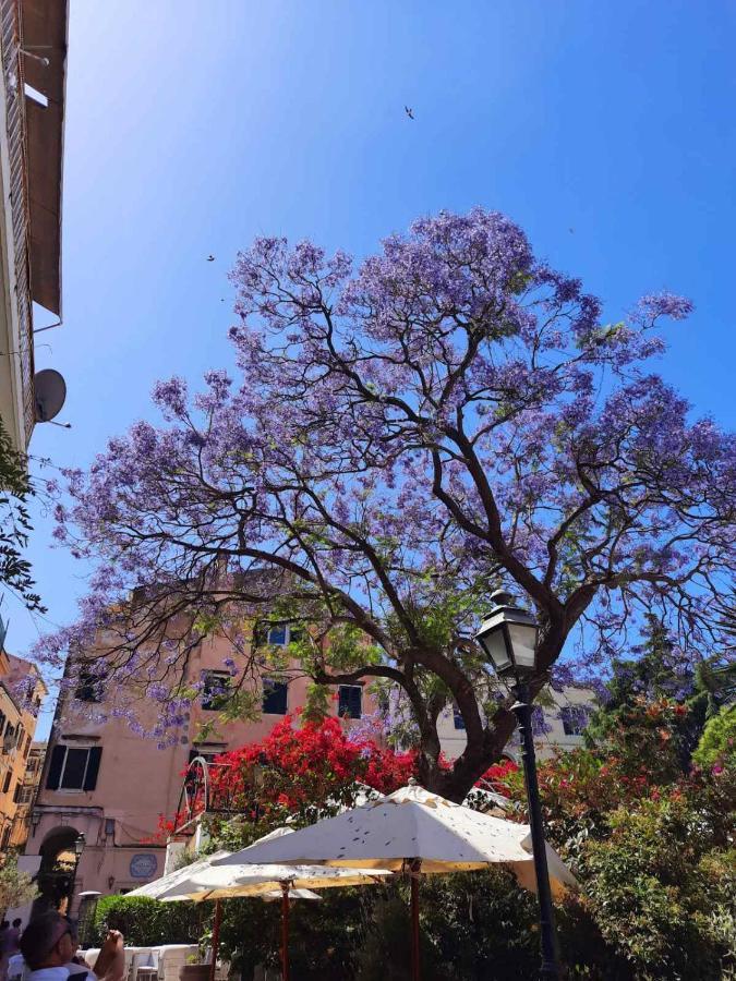 Jacaranda Corfu Old Town Apt Exteriér fotografie